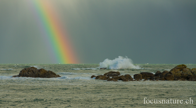 Ocean 8367.jpg - Tempête sur l'océan Atlantique (Bretagne, France, décembre 2011)